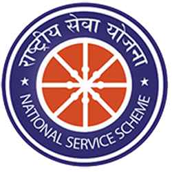 nss logo